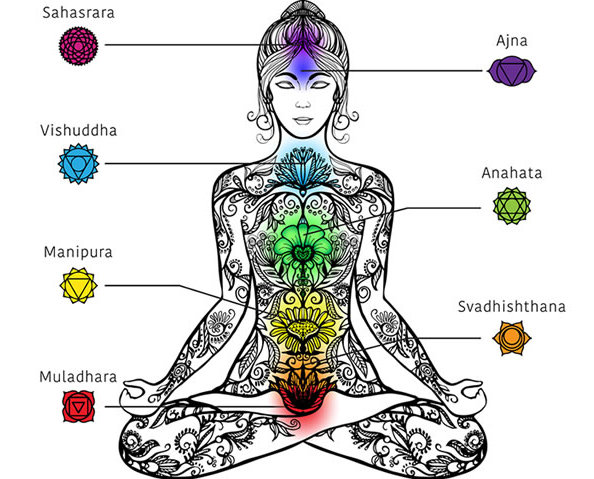 Chakra Raíz